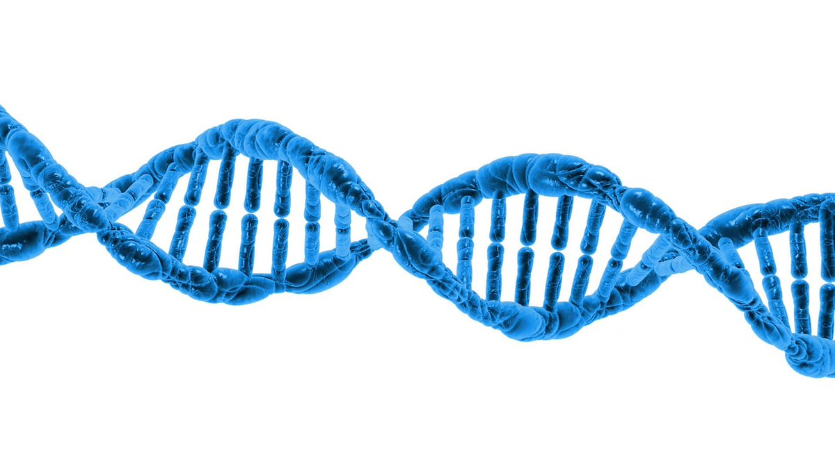 RatioScientiae's tweet photo. DNA in Basic and Applied Science: From the Building Blocks of Life to Heredity and Catching Bad Guys #DNA #DNAForensics #DNAHistory https://t.co/3s7fxsAgcu https://t.co/l74phUUCry