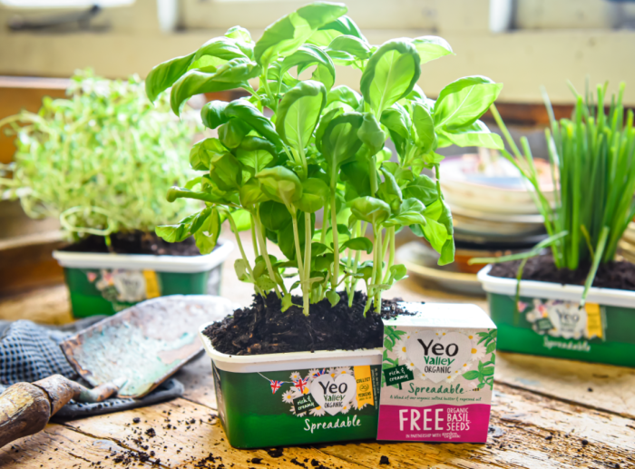 Grow your own herbs with @Yeovalley and @Gardenorganicuk ! There are three to collect with special packs of Yeo Valley Organic Spreadable packs including basil, thyme, and chives. ​ Which herb will you pick?!? We are choosing...all of them!