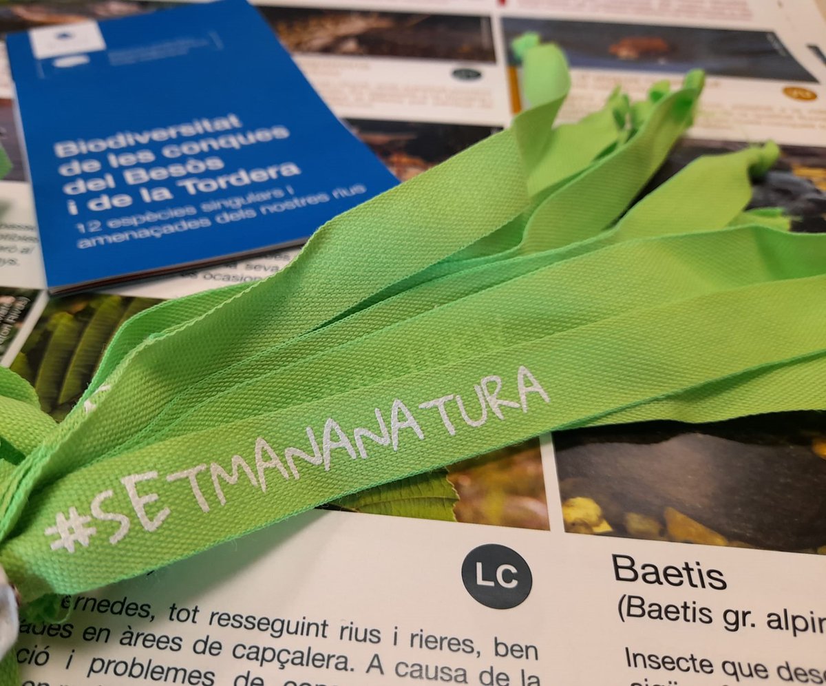 FundacioRivus's tweet photo. 🗓️Avui se celebra el #DiaMundialdelaDiversitatBiològica i s'enceta la #SetmanaNatura, que finalitzarà el 5 de juny.
🌍Commemorem aquesta data amb aquest fil on recollim totes les exposicions que hem dissenyat amb @ObsRivus sobre bioindicadors a les conques del Besòs i la Tordera. https://t.co/hwVushrx3a