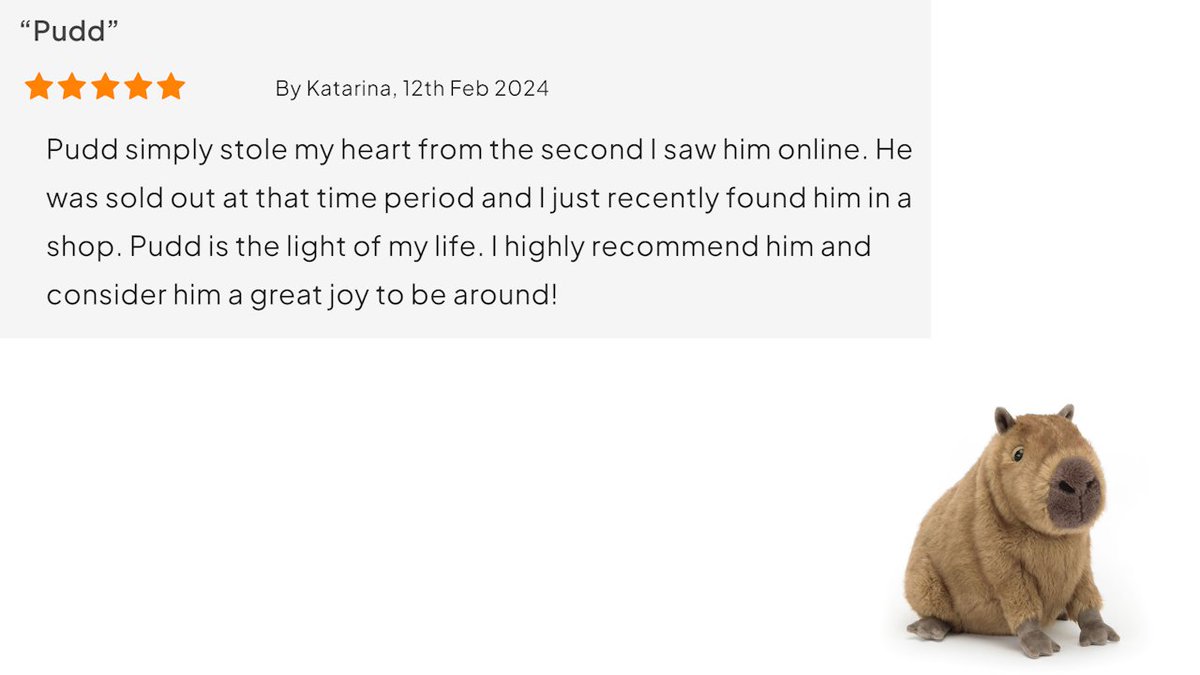 JellyCat Reviews tweet media