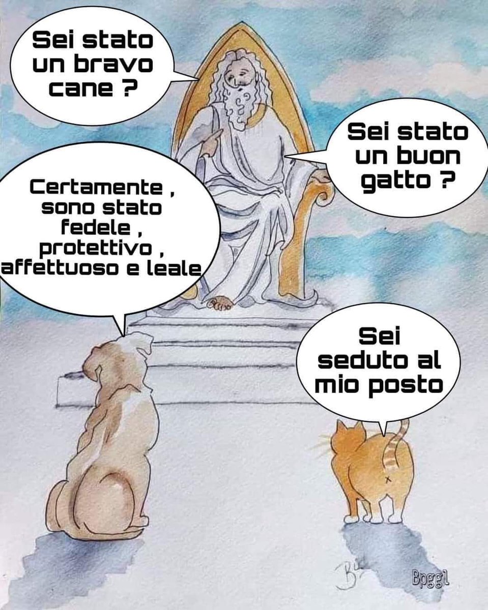 Bongiorno muli 😅