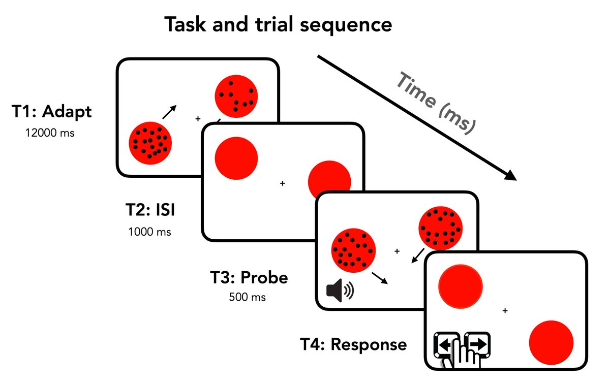 Number adaptation is among the most controversial phenomena in vision science, w/ several empirical &amp; theoretical outcomes riding on it. <a href="/carolinemyers0/">Caroline Myers</a> enters the fray with a motion manipulation to overcome issues with earlier demonstrations. 302, 8:30-12:30, Breezeway! #VSS2024