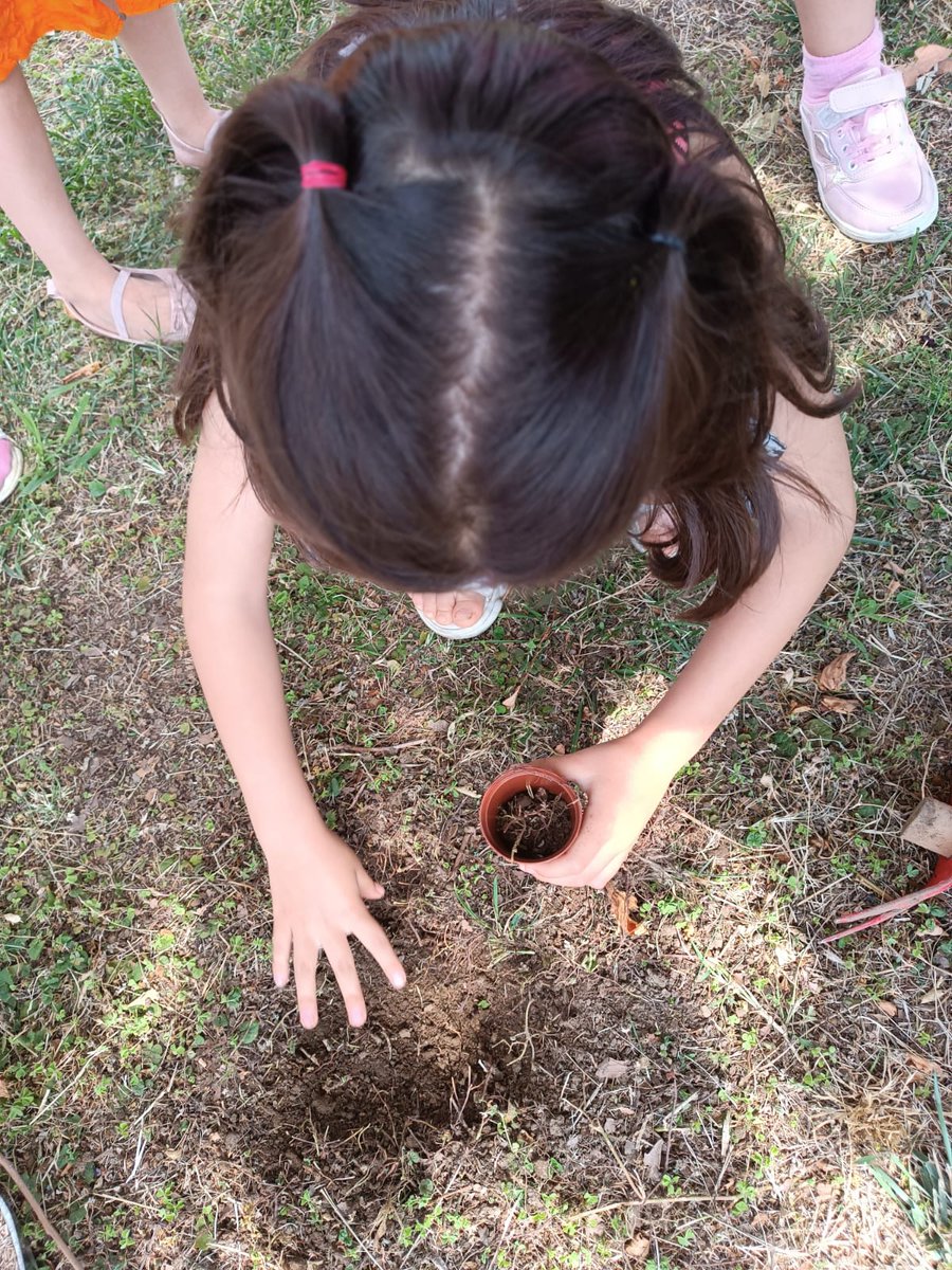 Erken Stem Eğitim akışında bugün miniklerimizle beraber bitki ekiyoruz.
#payastemgelecegikurgular
#yapayzeka
#stem