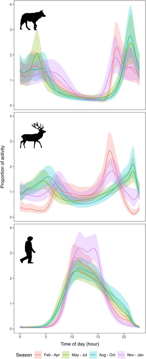 WildlifeBiol's tweet image. Human avoidance, selection for darkness and prey activity explain wolf diel activity in a highly cultivated landscape nsojournals.onlinelibrary.wiley.com/doi/10.1002/wl… #Wolves #Spatial #Avoidance @NordicOikos @WileyEcolEvol