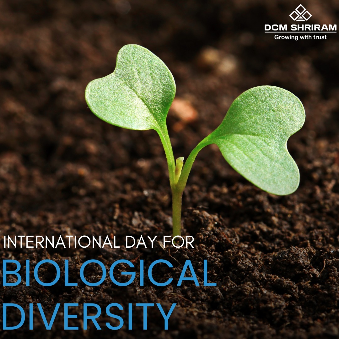 Celebrating the International Day for Biological Diversity! Let's cherish and protect the rich tapestry of life that sustains our planet.

#DCMShriram #BiodiversityDay #ProtectOurPlanet #Sustainability