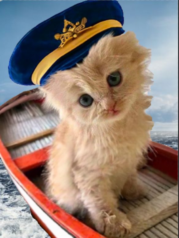 much love for this community, they are doing it great
$kiki