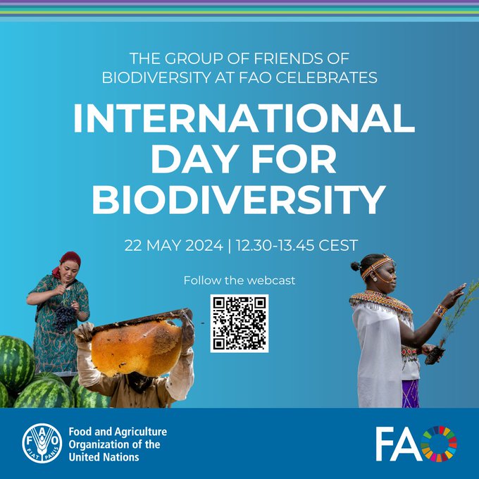 📢#StartingNow Join the Group of Friends of #Biodiversity at @FAO Headquarters today in celebration of #BiodiversityDay 💻Or follow online: fao.org/webcast/home/e…… #PartOfThePlan #ForNature