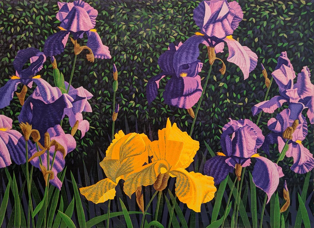 Bearded Iris - Woodcut by Gordon Mortensen