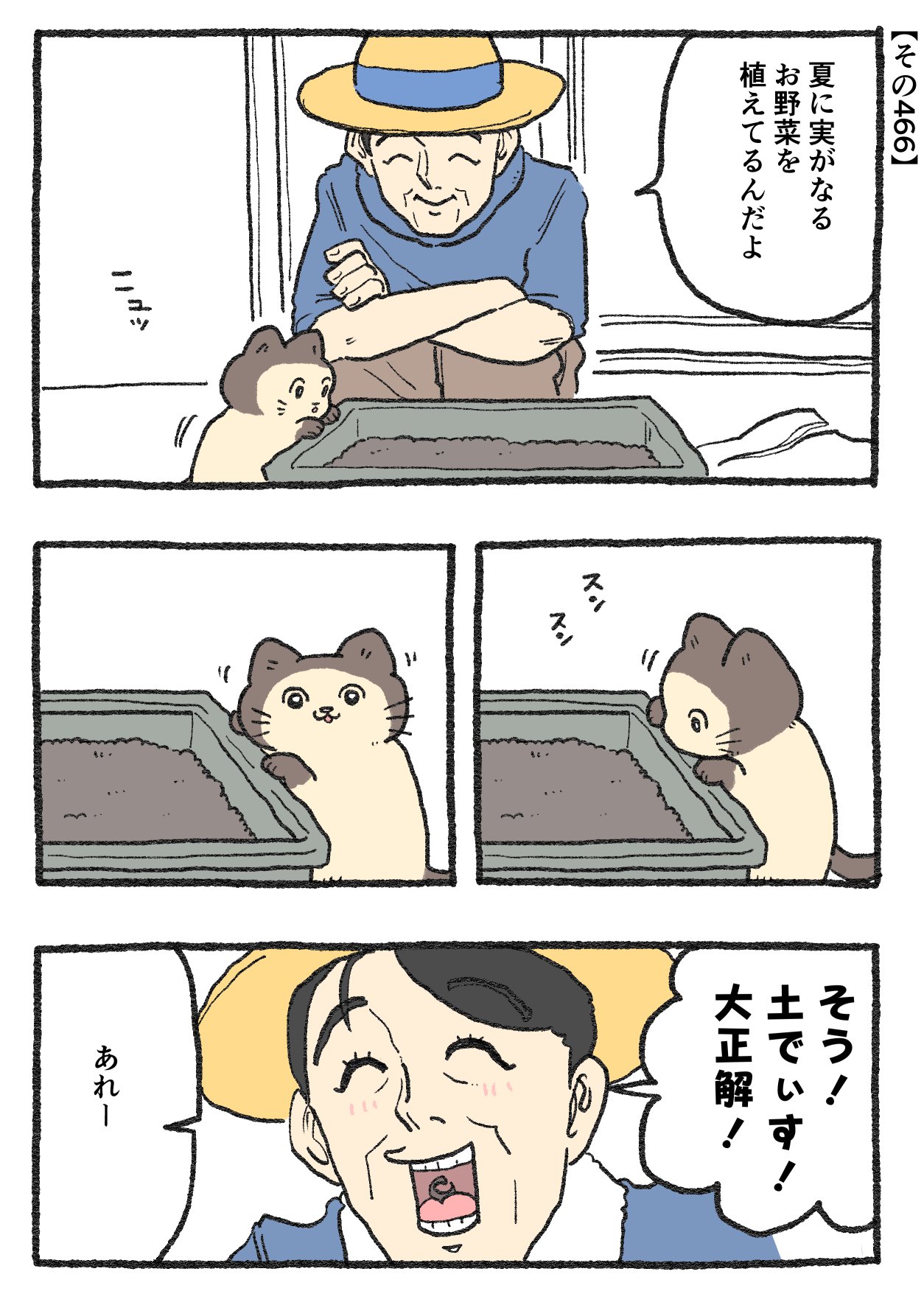 ねこさんページ ねこに転生したおじさん×WEGOコラボクッション – WEGO ONLINE STORE