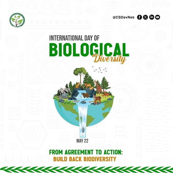 Happy International Biodiversity Day!🌿🐢🦧🦕🐊🐃🦥🐻

This year's theme, 'Be part of the plan: Highlight the importance of biodiversity,' urges us to recognize the vital role biodiversity plays in sustaining life on Earth. 
🌿🌎 #BiodiversityDay2024 #WhatHasChanged #act4nature