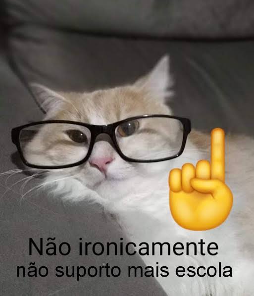 odeiootaco's tweet photo. https://t.co/h8fnV67PyV