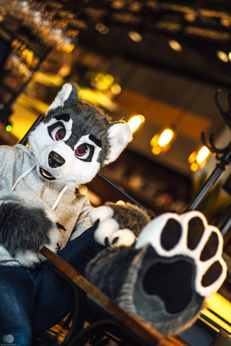 First post on this Account! Hope u like it :3 #nfc 

📸: <a href="/lextramow/">Lexi McSwirl</a>