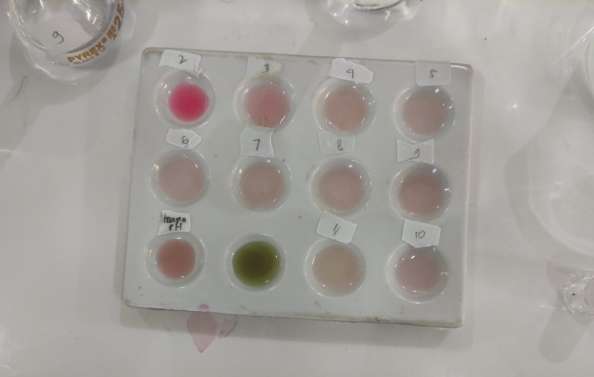 esthehanget's tweet photo. kelar juga nih praktikum https://t.co/9KacfdhImM