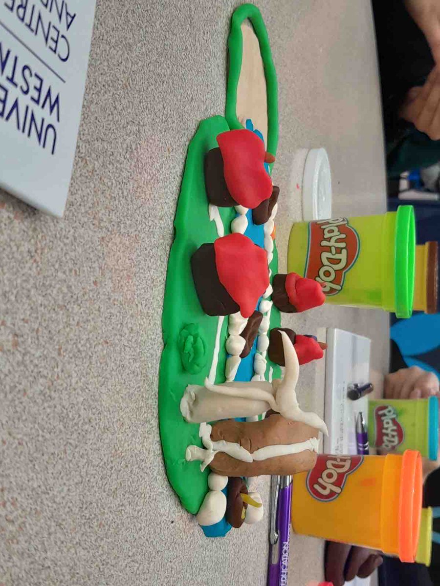 A group of Year 10 and Year 12 students took part in a workshop with the University of Westminster. They learnt about the effect of the urban environment on health and wellbeing. They designed their own model cities with lots of green spaces and renewable energy resources.