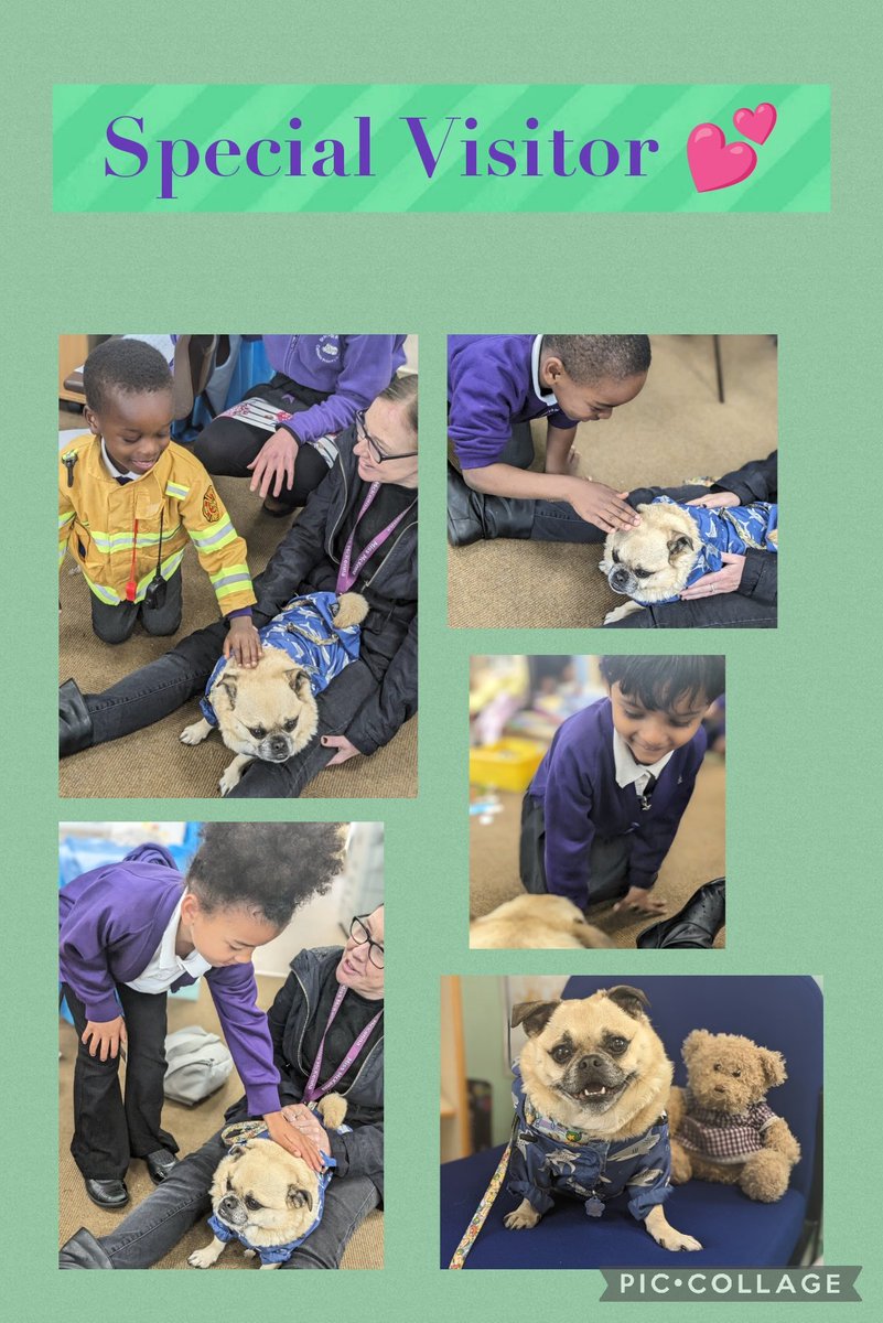 Reception class had a special visitor this morning, Miss McKenna's Gizmo #Visit  #Care #Kindness #Love #PlayingIsLearning