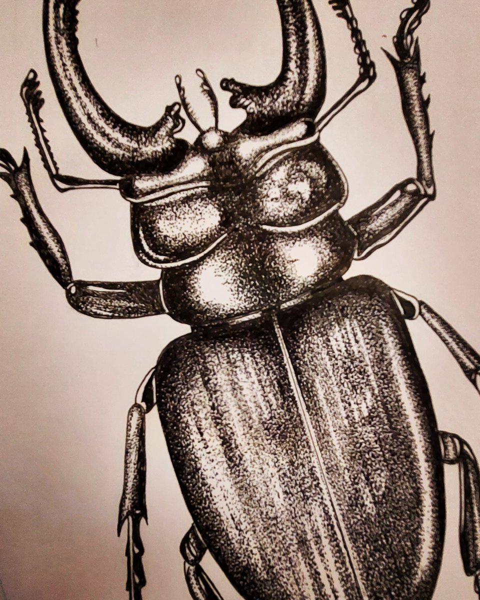 Some lovely comments today <a href="/elevenseshour_/">#elevenseshour</a>  thanks all for
taking a look. I'll  wrap up with a few of my favourites. #wednesdayfeeling #MHHSBD #earlybiz #elevenseshour #ukmakers #craftbizparty