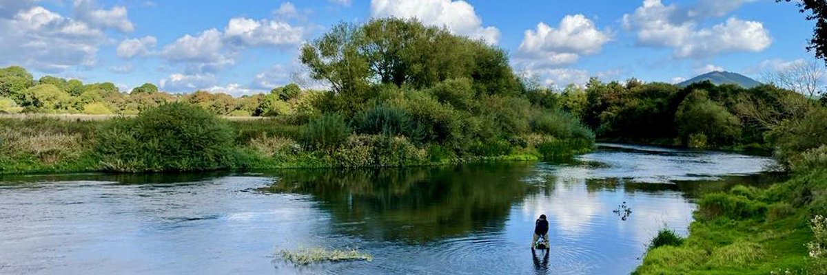 Rob Davies tweet media