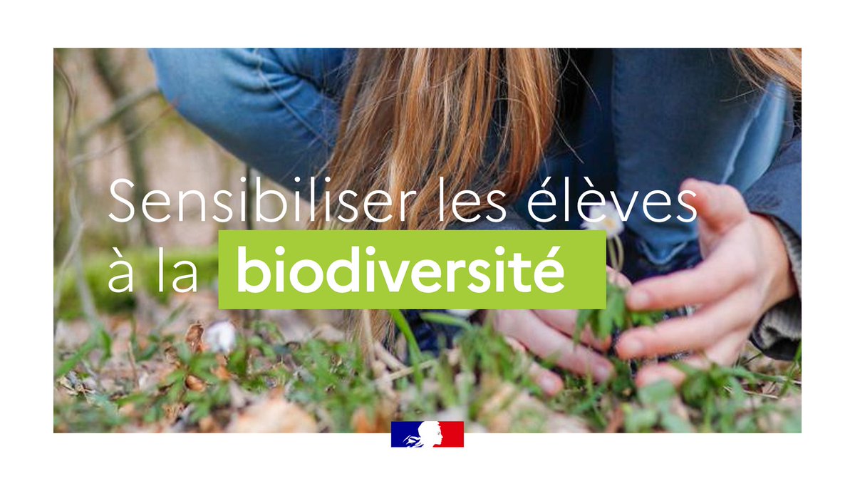 La #Biodiversité est le tissu vivant de notre planète 🐝🍄🐞

Pour sensibiliser les élèves aux enjeux de sa préservation, retrouvez une sélection de ressources, pistes d'activités et actions éducatives à mettre en œuvre avec la classe !

✅ eduscol.education.fr/1133/biodivers…