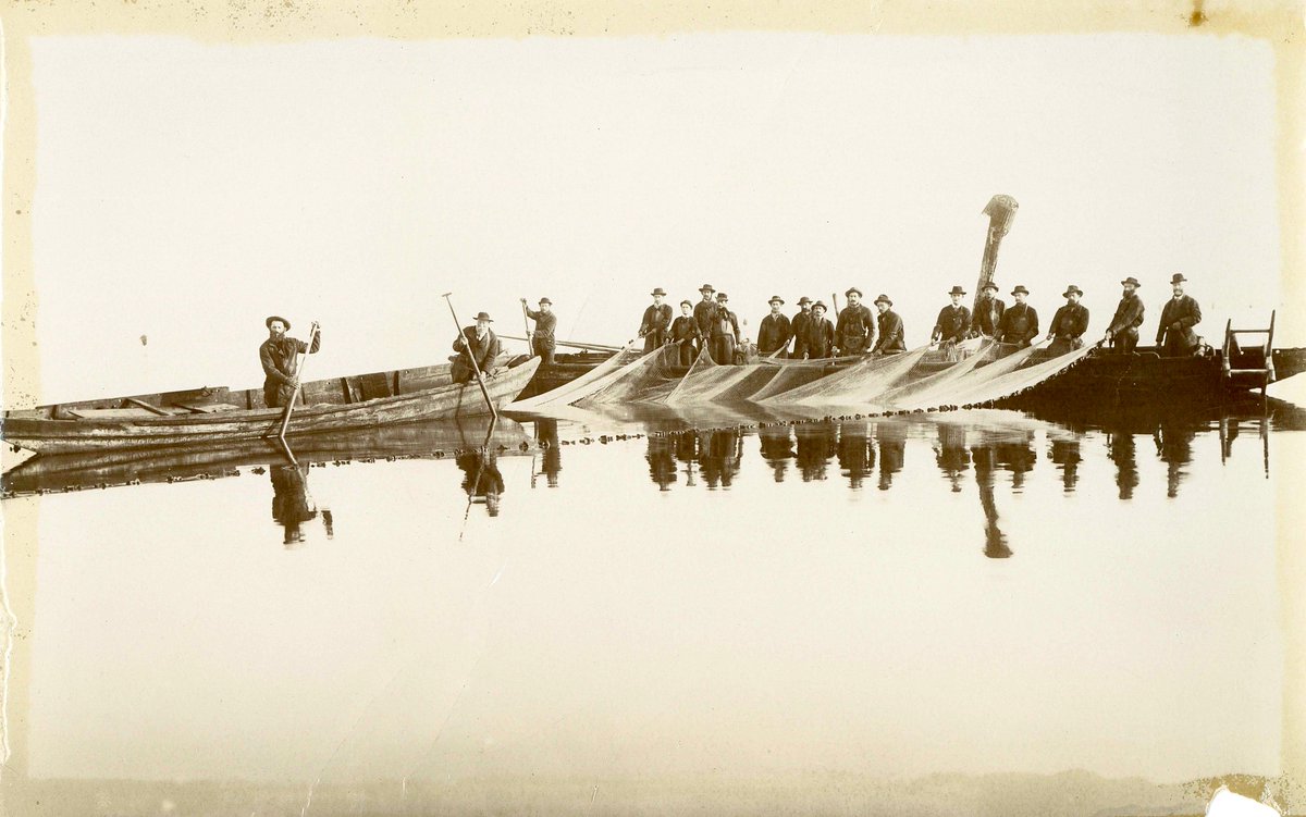 Immer wieder überraschend, was in unseren Archivalien auftaucht: Hier  eine Foto von 1894 aus Ermatingen am Bodensee, welche Fischer mit einer  Gangfischsegi zeigt. Gangfische sind Felchen, und eine Segi ist ein  grosses Zugnetz.
#Bodensee #Thurgau #Fischerei #Schweiz #Dialekt