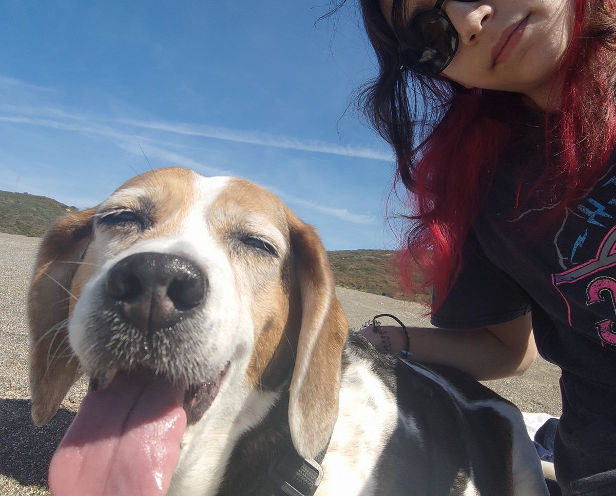 clau 🩶 tweet media