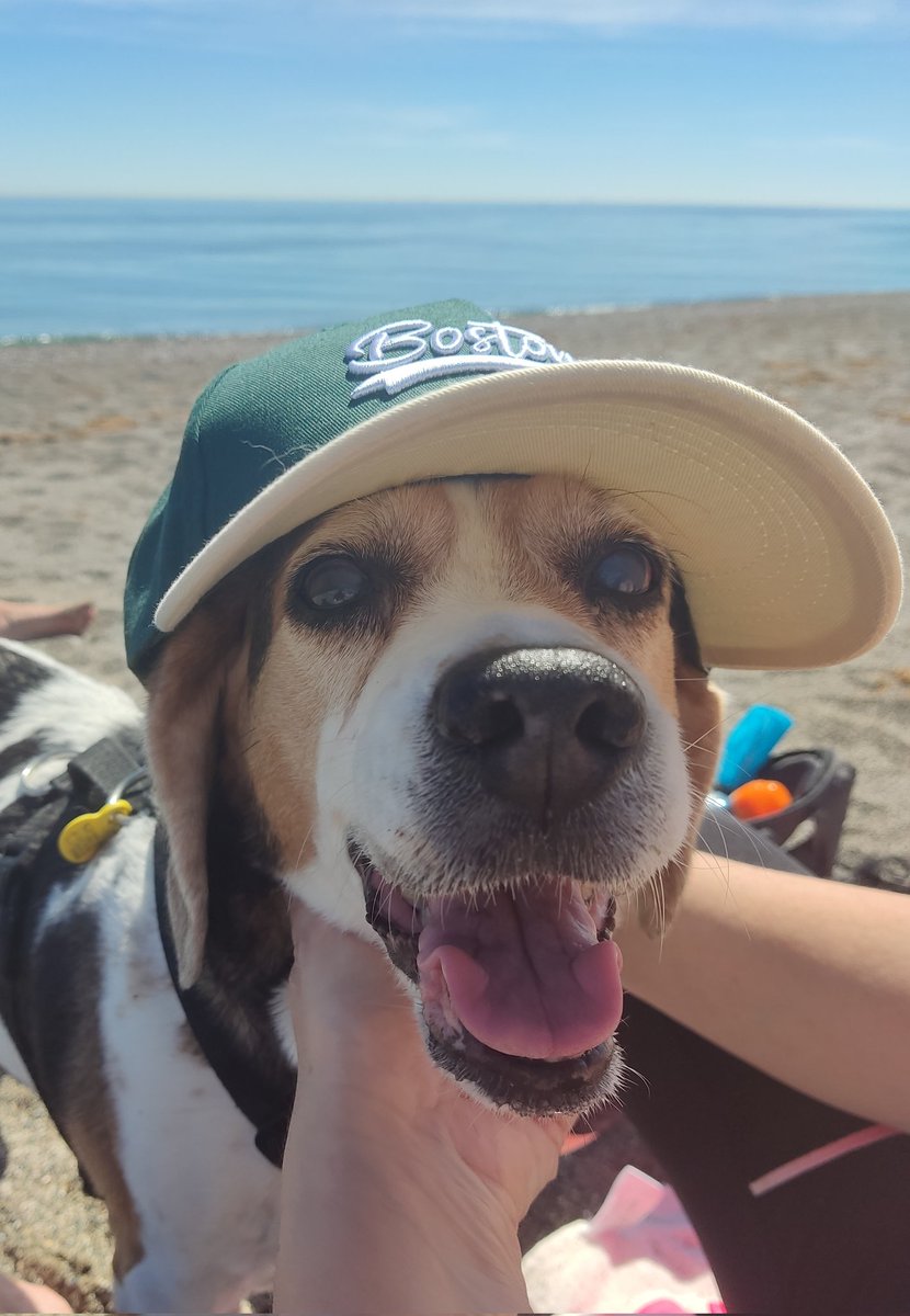 clau 🩶 tweet media