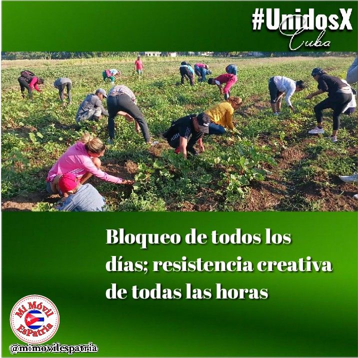 La batalla económica que debemos librar, de ella depende nuestro avance y quitarle todos los días con resistencia creativa un pedazo al bloqueo. #UnBlockCuba #UnidosXCuba #CiegodeÁvila