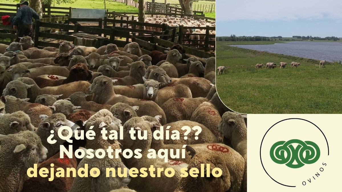 INSCRIPCIONES ABIERTAS!
💰Adelantos
💲Precio Base Asegurado
🚛Carga Asegurada
entre otros beneficios
ℹ️en nuestra 🛜 de cooperativas, con nuestros 👨‍💻Téc.Enc.Zonales o ☎️29026888 📱092.600258
#juntosesmásfácil
