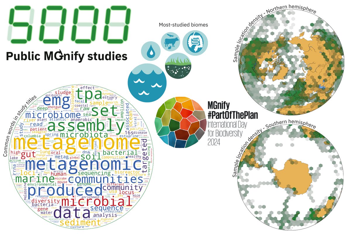 We're celebrating @UNBiodiversity's #BiodiversityDay with a milestone for our #PartOfThePlan: MGnify has now analysed over 5000 studies of publicly available data, characterising microbial biodiversity in a wide range of environments around the Earth and beyond.