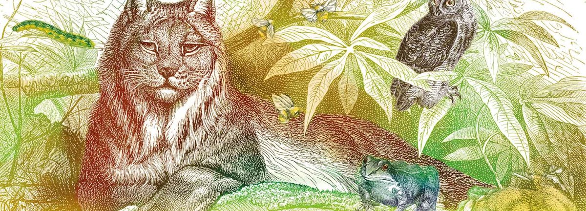 zoodeparis's tweet photo. Pour découvrir le programme de la fête de la nature 👉https://t.co/EPkhkLZju4 https://t.co/qg4i0LuTd2