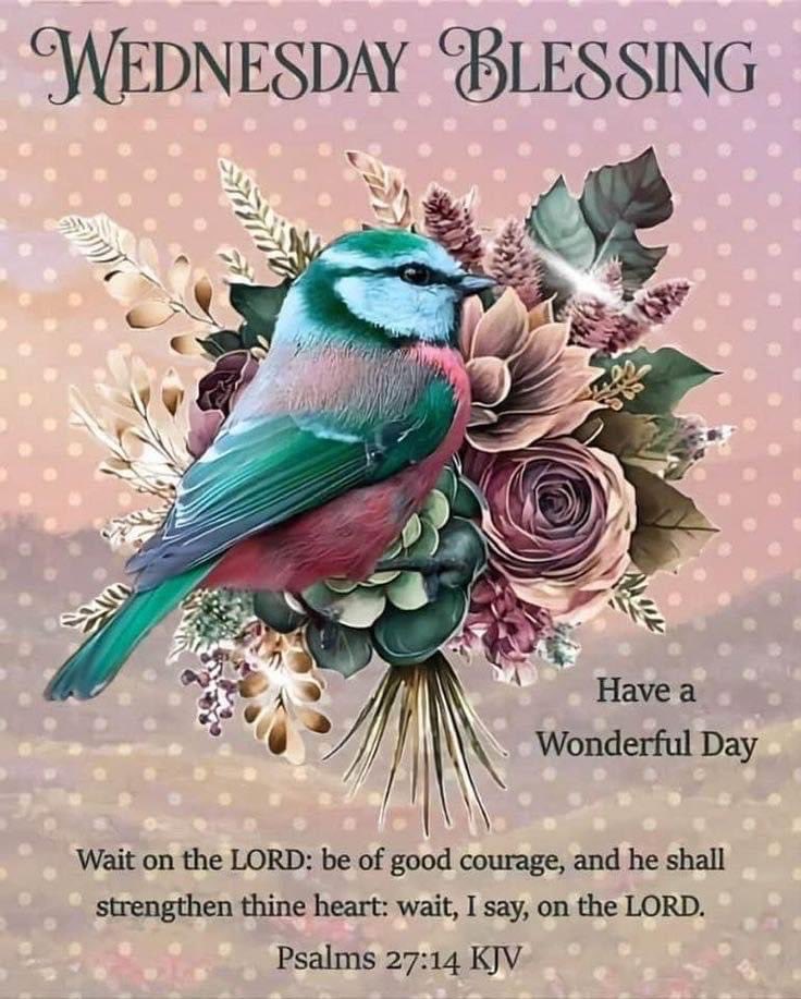 Have a blessed day in the Lord my friends🙏❤️😊 Proverbs 3:5 Trust in the LORD with all thine heart; and lean not unto thine own understanding. Proverbs 3:6 “In all thy ways acknowledge him, and he shall direct thy paths.”