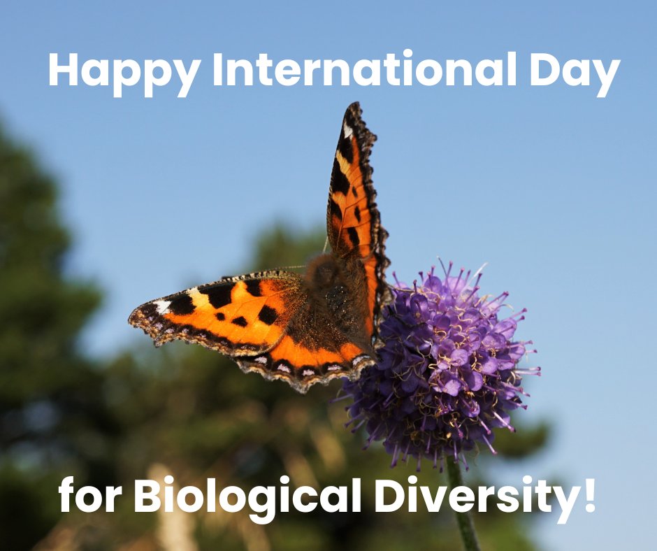 Printwaste | Recycling & Confidential Shredding tweet media