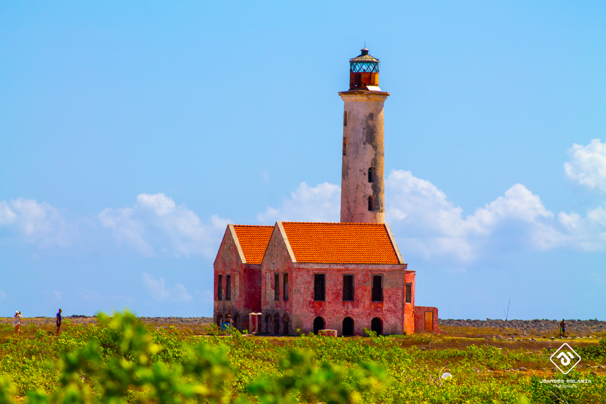 JeandreMelaria's tweet photo. Discovering the magic of Klein Curaçao! 🌊✨ Exploring this beautiful island, where the old lighthouse tells stories of the sea and every moment feels like an adventure.

#KleinCuraçao #Lighthouse #Caribbean #IslandLife #MaritimeHistory  #IslandAdventure  #HistoricLandmark https://t.co/ODlIpJlkOY