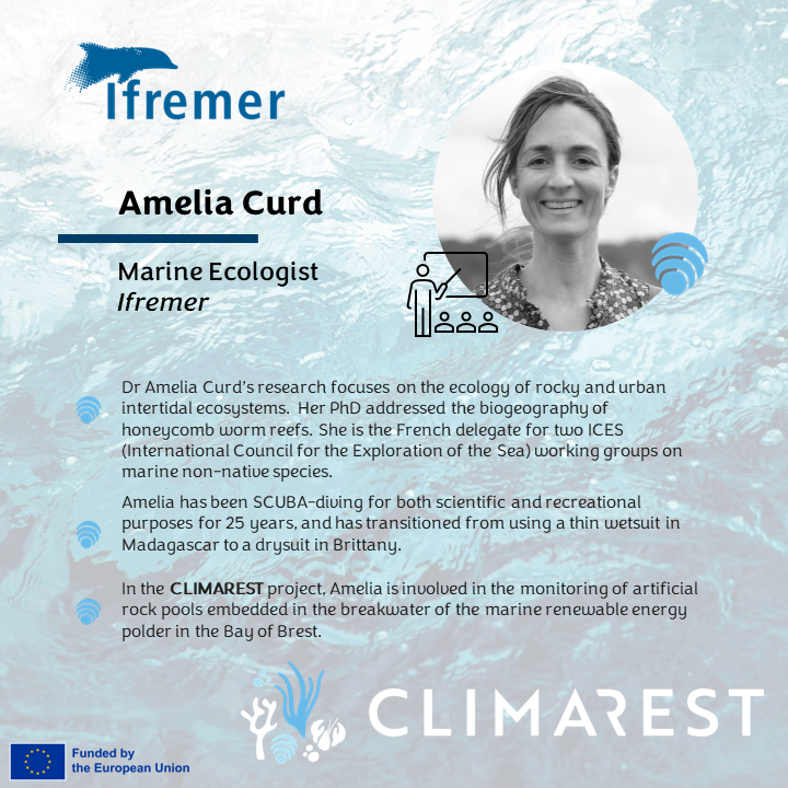 climarest's tweet photo. #FacesOfCLIMAREST - Amelia Curd
🧠 Amelia is a marine ecology research engineer at @Ifremer_fr, and works with the demonstration site in #Brest.
#MissionOcean #HorizonEU #climarest #EUMissions https://t.co/Trd5VP07hw