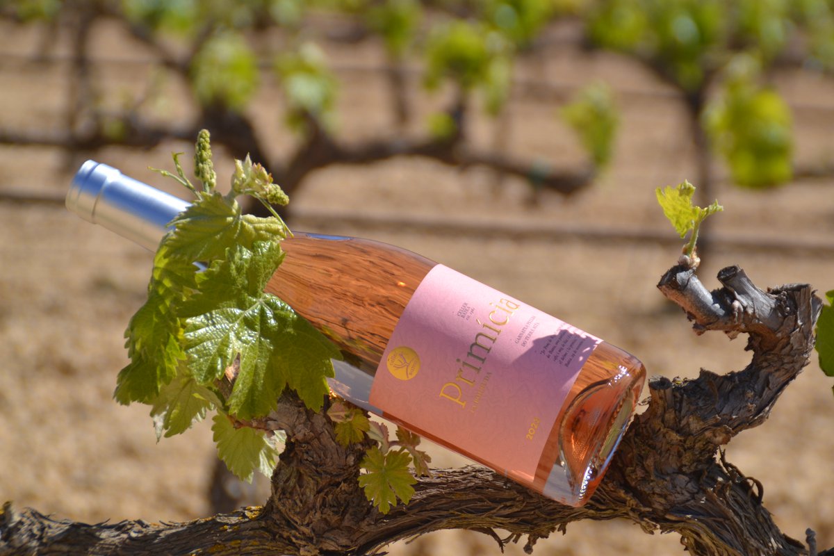 Celler Batea tweet media