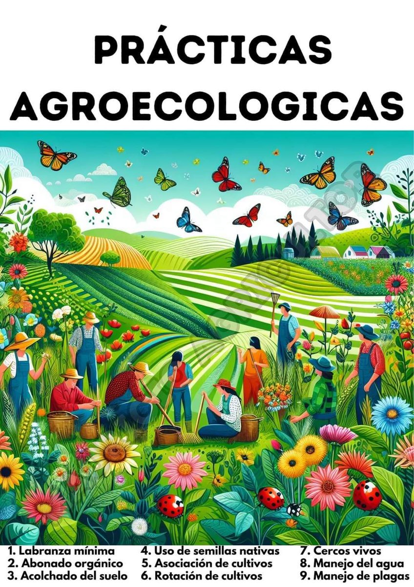 @AgroecologyGoal ¡Nuevo artículo académico! 🌱Hacia un enfoque agroecológico para la salud de los cultivos: reducir la incidencia de plagas a través de sinergias entre la diversidad de plantas y la ecología microbiana del suelo #agroecología #saludvegetal #ProgramaSIPAGAN