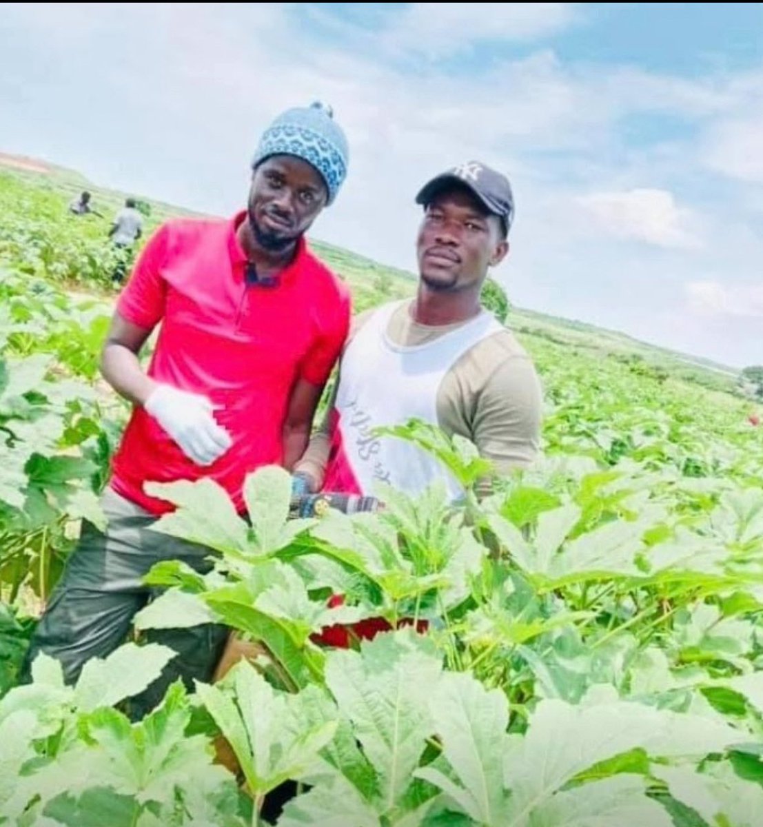 Transformer structurellement l’économie sénégalaise revient à renverser la tendance en investissant massivement dans le secteur primaire et secondaire. 
- La pêche ressuscitée. 
- L’agriculture prend les rails. 
À la fin, une forte industrialisation pour absorber le chômage.