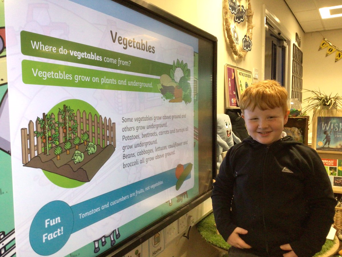 ReceptionGV's tweet photo. We have learnt where some of our favourite foods comes from. 🍳🍟🍓🥕🥛
Did you know there are 7,000 types of apples? 🤔🍎 #STANinaction https://t.co/jcBbpiE1xD