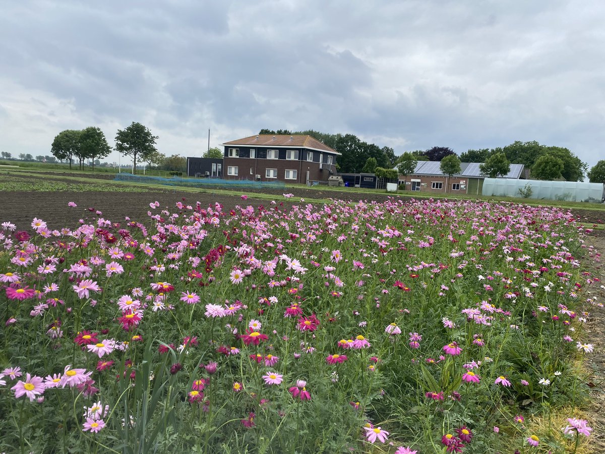 Kantoor <a href="/ZLTO/">ZLTO</a>  &amp; <a href="/Proefboerderij/">Rusthoeve</a> Rusthoeve in Colijnsplaat