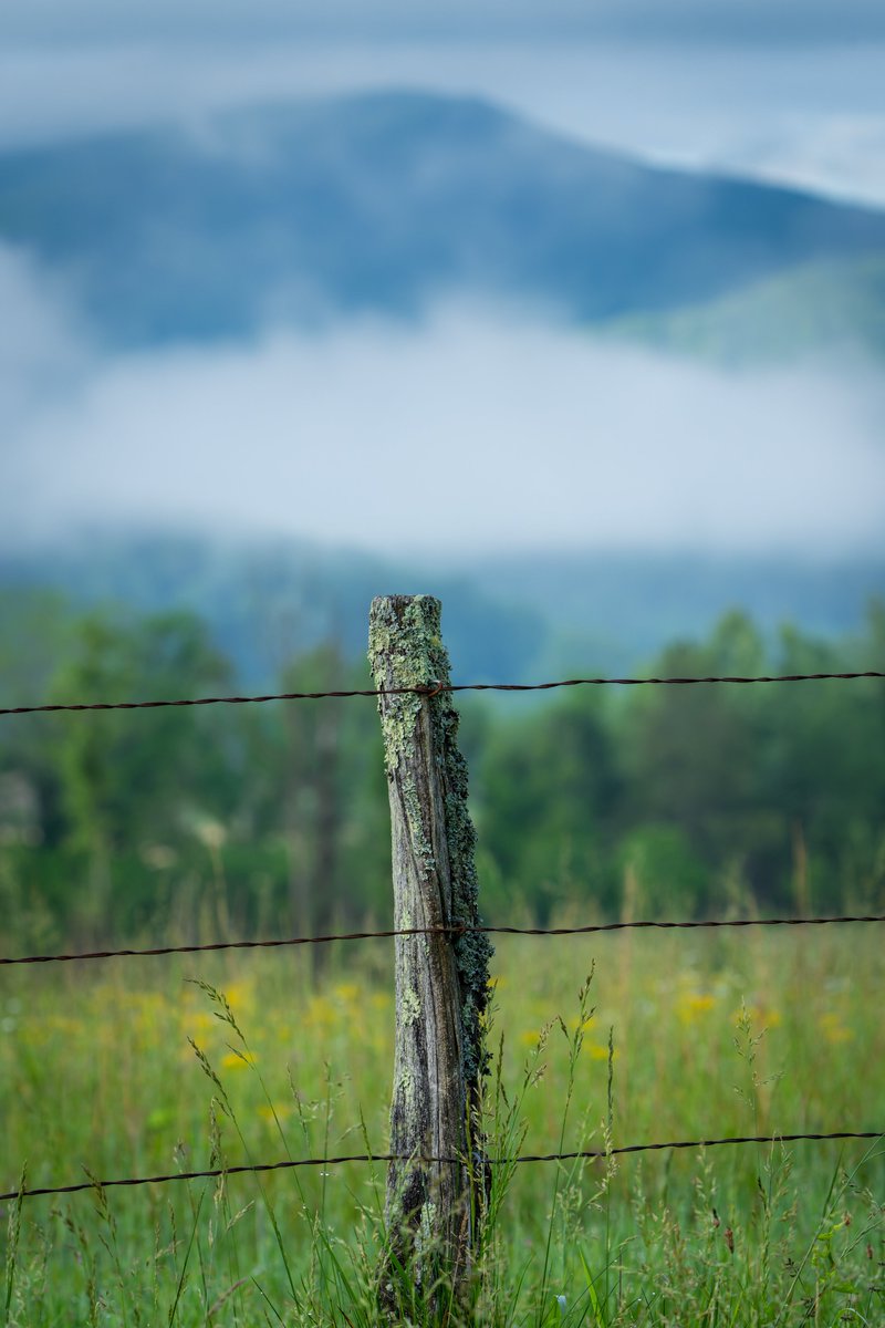 Cades Cove Great Smoky Mountains National Park #photography #NaturePhotography #landscapephotography #thelittlethings