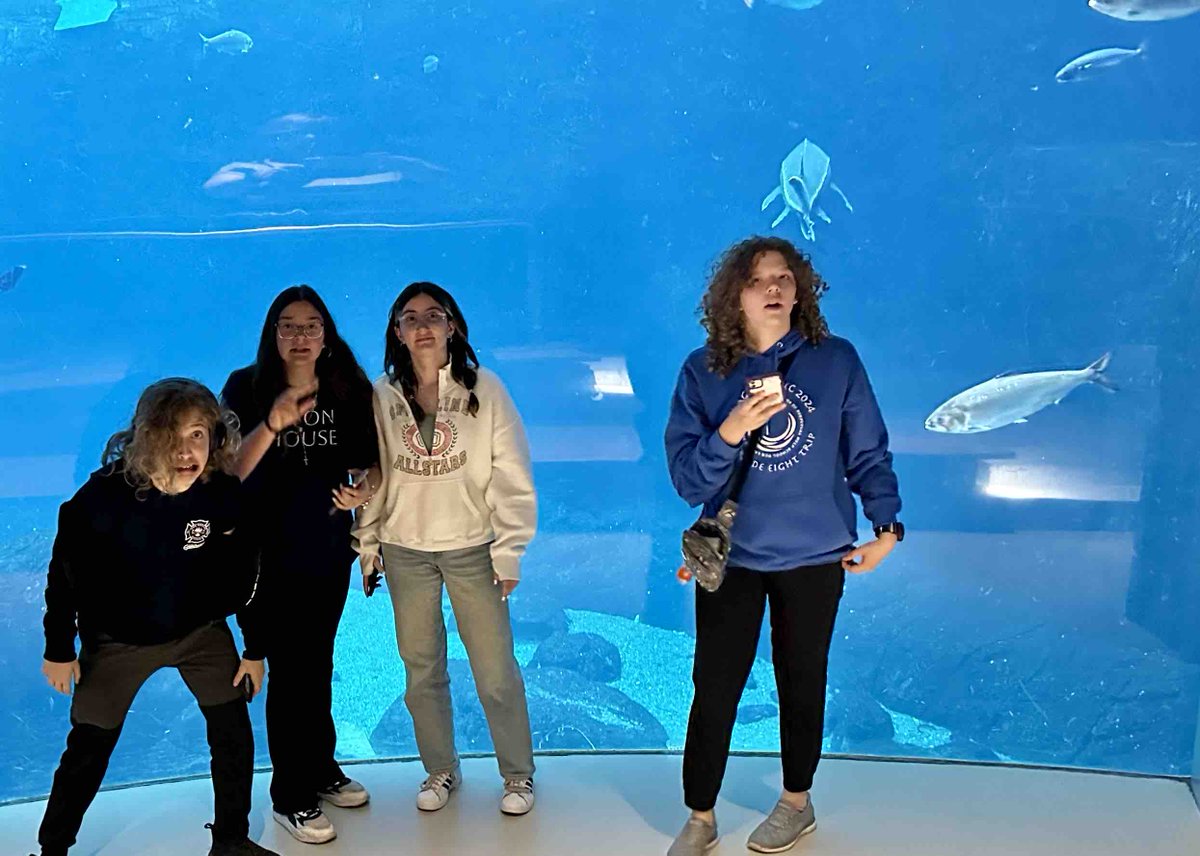 Day 3- ugh! Montreal traffic is awful! However, we still made it…a bit!