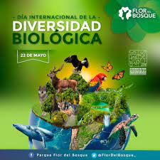 Día Internacional de la Diversidad Biológica es una jornada que se celebra anualmente el 22 de mayo desde 2002, establecida por las Naciones Unidas el 8 de diciembre de 2000. #CubaMined. #EducaciónLasTunas, #EducacionPuertoPadre, #SiPorLaRevolución, #EducacionDeCalidad,