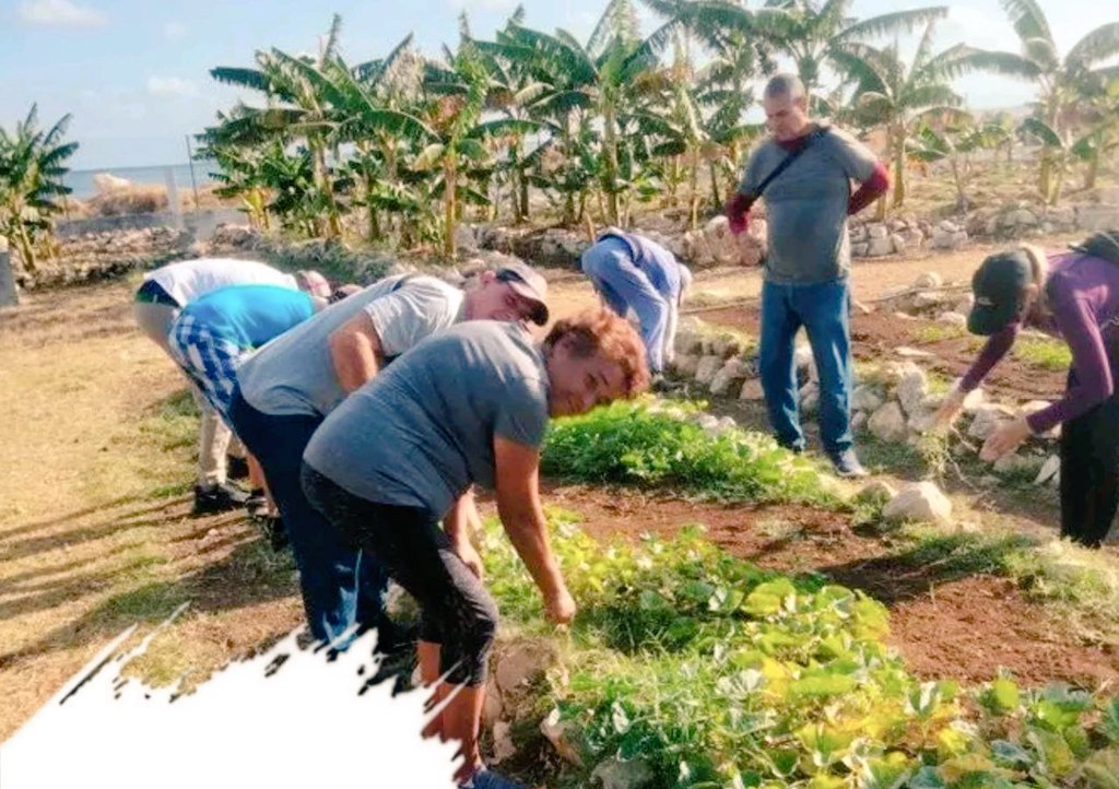 Paso a paso, sin otra divisa que la del triunfo. Así seguimos trabajando por #Cuba #DeZurdaTeam