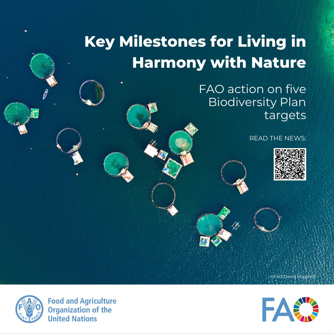 🌿Biodiversity & agriculture go hand in hand! @FAO leads efforts to restore ecosystems, protect species, reduce pollution, and promote sustainability through the Biodiversity Plan. News: 🔗bit.ly/4bRozrn #PartOfThePlan #ForNature #BiodiversityDay