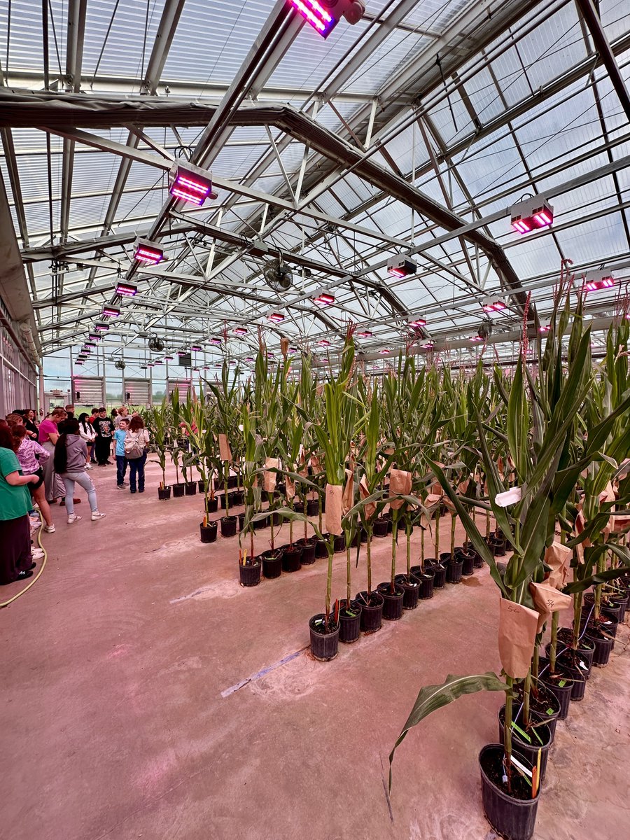 hhschuskies's tweet photo. Last week, over 200 7th grade and 15 8th grade Ag students from HHMS enjoyed an immersive experience at @BecksHybrids, in Atlanta, Indiana. Read the full story here: https://t.co/2vdDccQCMQ https://t.co/uqjUS2Swaq