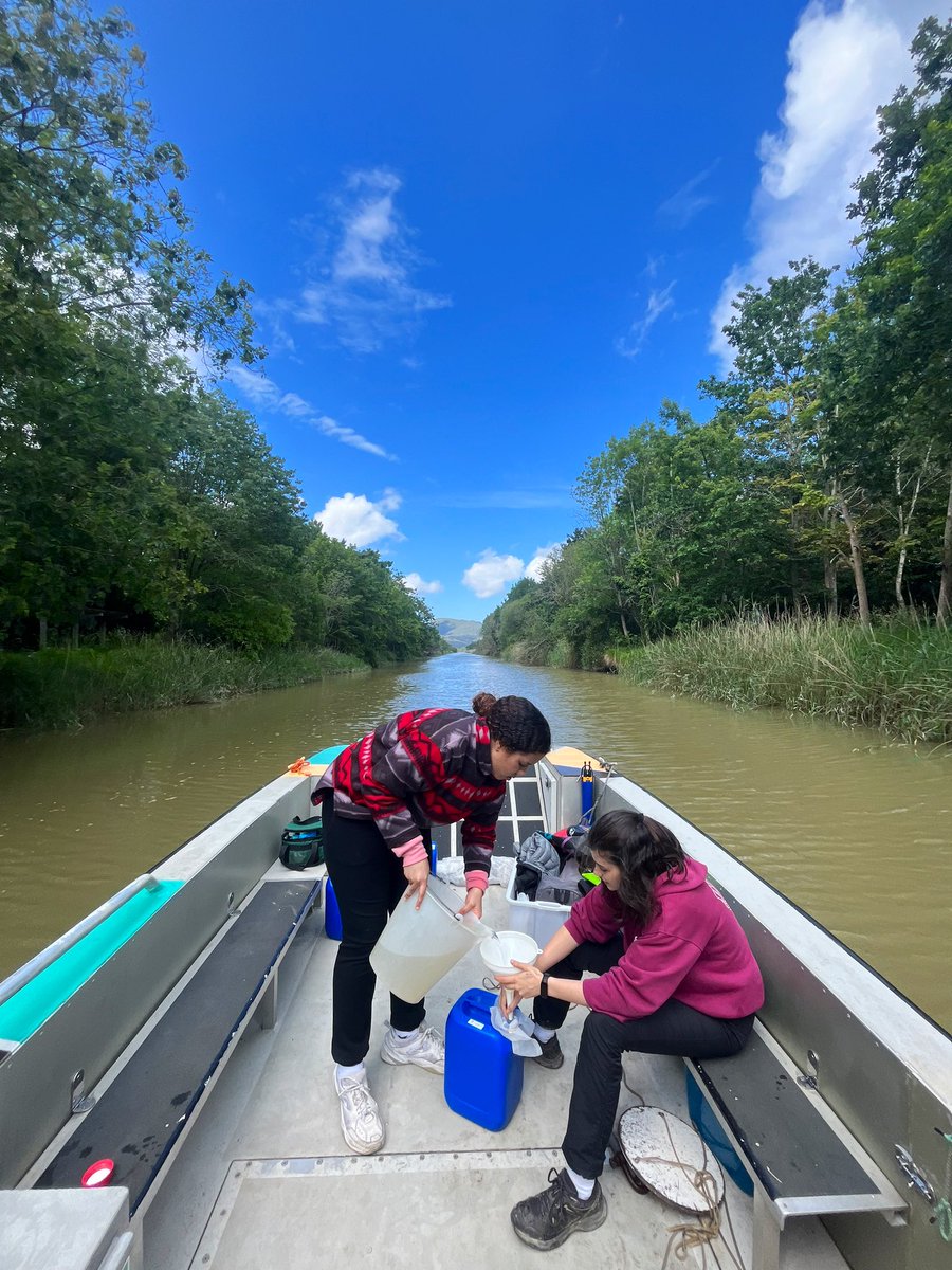 BMCC_UPVEHU's tweet image. Another sampling day in the Urdaibai estuary, this time with a beautiful net sample! It seems that microalgae have enjoyed these rainy days 🙌🏾😊 #microalgae #Urdaibai #biospherereserve