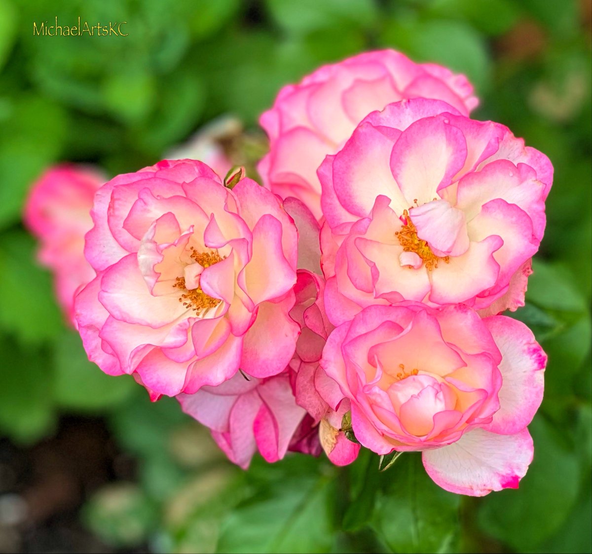 Michael McCrary tweet media