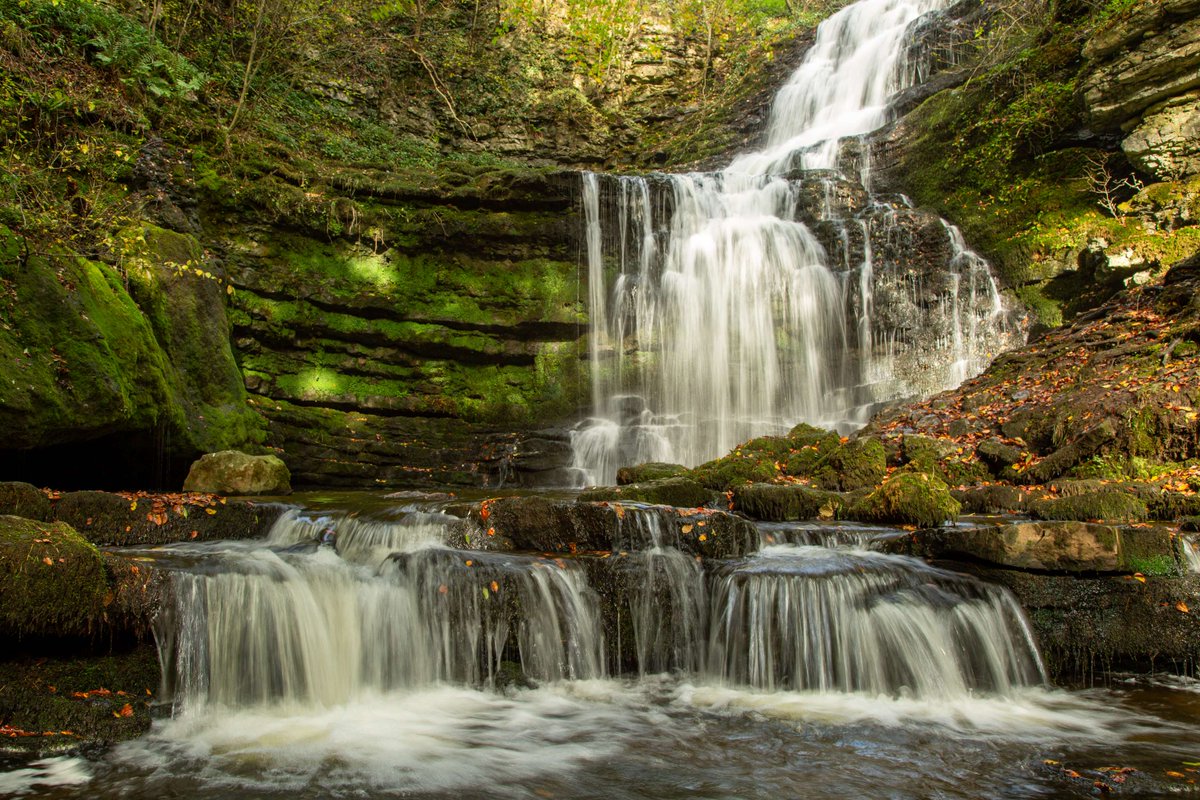 Who has been to this stunning waterfall? We thought you might be missing #WaterfallWednesday - so here we go! 💚

Scaleber Force is a #YorkshireDales 40ft waterfall within Scaleber Wood Nature Reserve close to Settle. Managed by @woodlandtrust 🙏

📸 Wendy McDonnell