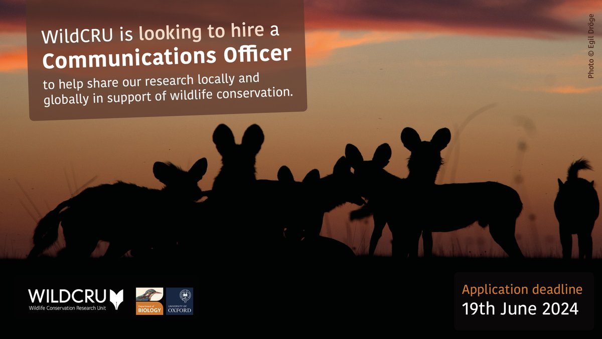 We are looking to appoint a #Communications Officer to work with #WildCRU’s researchers &amp; Oxford Dept. of Biology’s comms team to develop &amp; curate content that engages multiple audiences around the world.
For more info and application details see bit.ly/3KaXwez
