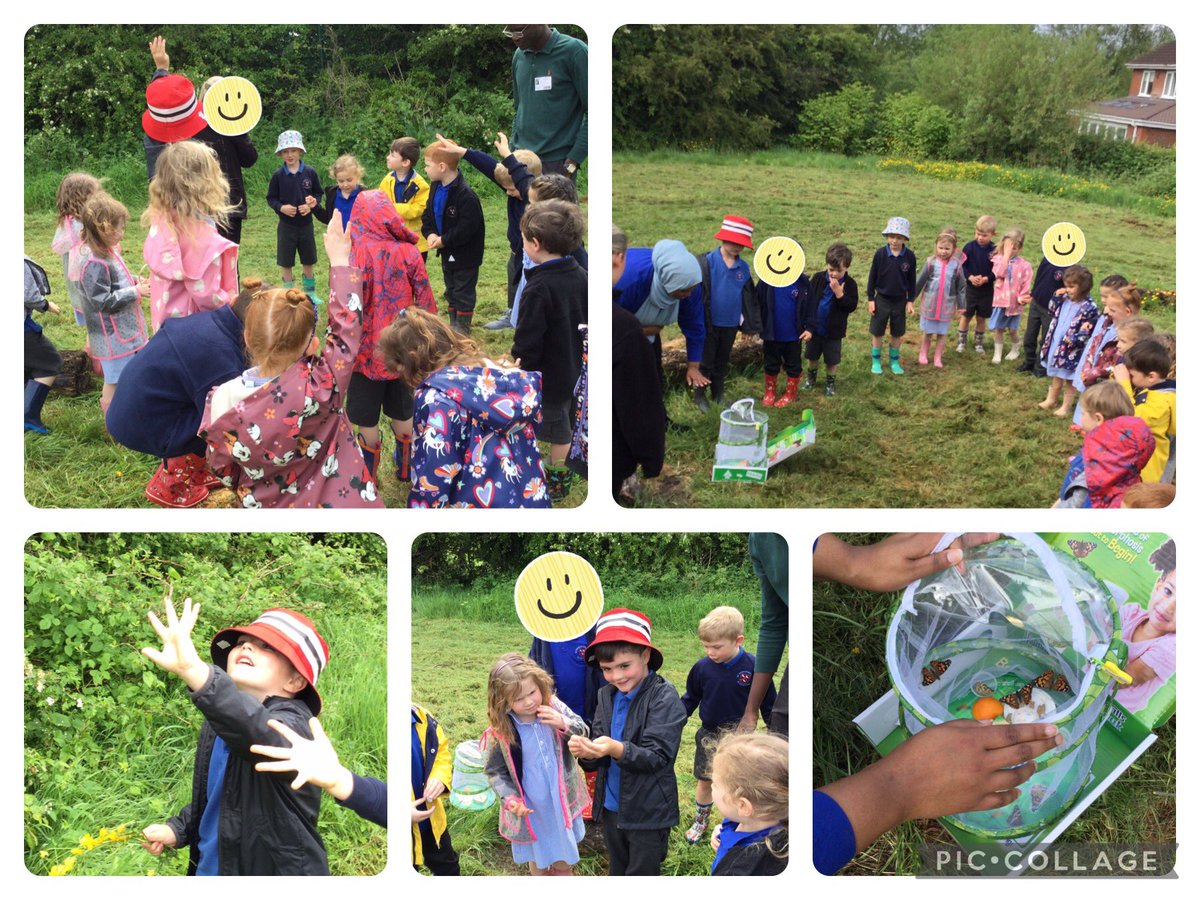 Last week we said goodbye to our butterflies 🦋. It has been wonderful watching them grow! Starting from a caterpillar🐛 forming into their cacoons and then finally blossoming into beautiful butterflies ☺️
#EYFS
#STM
#LoveLearnLive