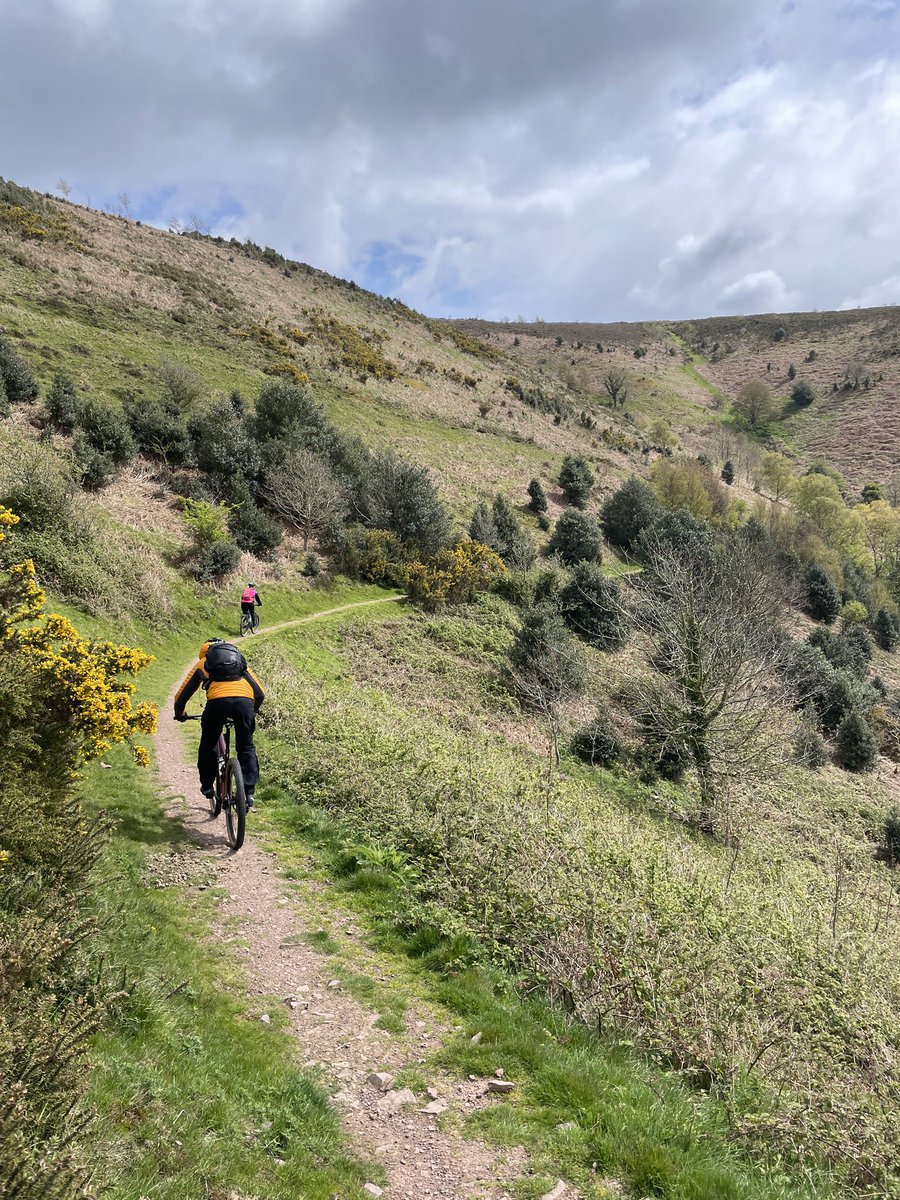 Exmoor Adventures tweet media